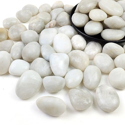 SHIZWU White Pebbles for Garden, Decorative Stones for Plant Pots, Vase Fillers, Aquarium, Fish Tank (20-40mm, 0.9kg)
