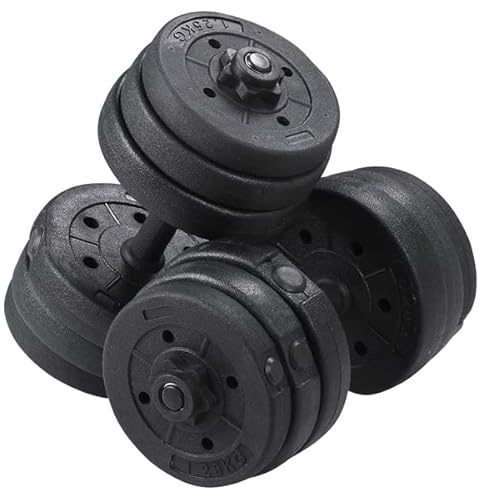 Abician Set 2 Haltères 20 kg Ensemble d'haltères 20 kg Gym à Domicile 12 Plaques de Différents Poids Paire d'Haltères avec Revêtement Plastique Kit Haltères Musculation