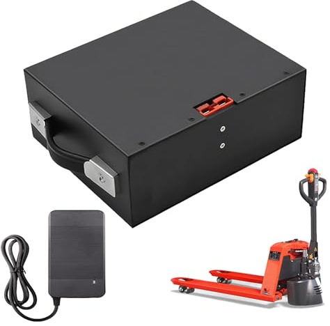 HJGHY Batteria al Litio per carrelli elevatori elettrici da 48 V, 10 Ah, 15 Ah, 20 Ah, 30 Ah, per carico e Scarico, Carrello elevatore a Spinta Manuale, trasportatore Elettrico,48v,10Ah