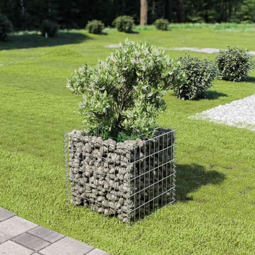 Mokuyary Aiuola rialzata per gabbioni, in acciaio zincato, 50 x 50 x 50 cm, cestino in pietra come recinzione da giardino, griglia per gabbioni come protezione da sguardi indiscreti