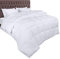 Utopia Bedding Piumone 220x240 cm, Piumino matrimoniale, Trapunta 100% Microfibra, Piumino Caldo (Bianco)
