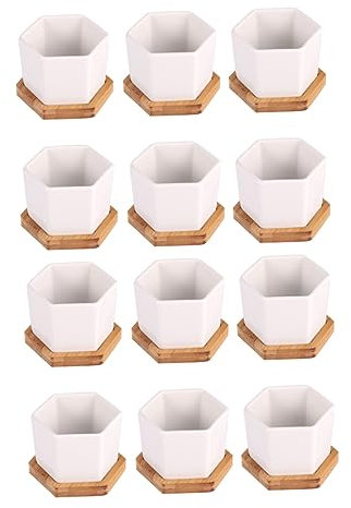 BESPORTBLE 24stücke Kreative Blumentöpfe Mit Untersetzern Langlebige Hexagon-pflanzgefäße Für Schreibtischdekoration Für Stifte Und Pflanzen Weiß