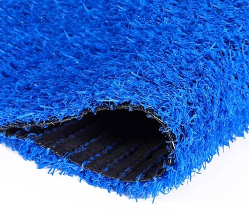 Blauer Kunstrasen, realistischer Kunstrasen, 2 cm Florhöhe, für Haustierbereich, Poolbereich, Hinterhof, Terrasse, Balkon mit Entwässerungslöchern (Size : 2x3m)