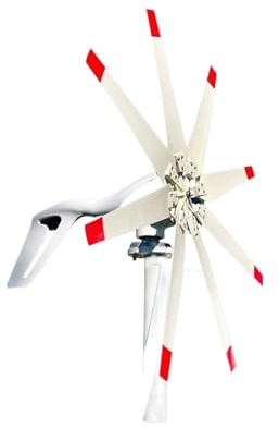 QZCX Aerogenerador Eolico, Turbina aeroneradora Horizontal de 3000W, 3KW, 12V, 24V, 48V, alternador, Molino de Viento de energía Libre for Granja doméstica(24V)