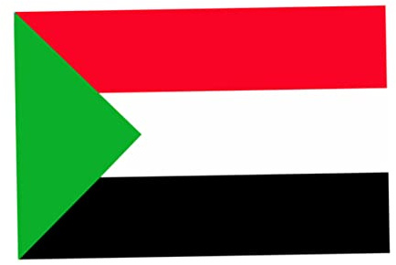 Bandiera nazionale palestinese 3x5 piedi Bandiera con stampa digitale resistente allo sbiadimento UV con occhielli in metallo Senza asta | Rivestimento murale