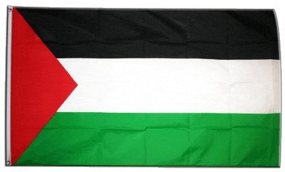 Digni Drapeau Palestine - 60 x 90 cm