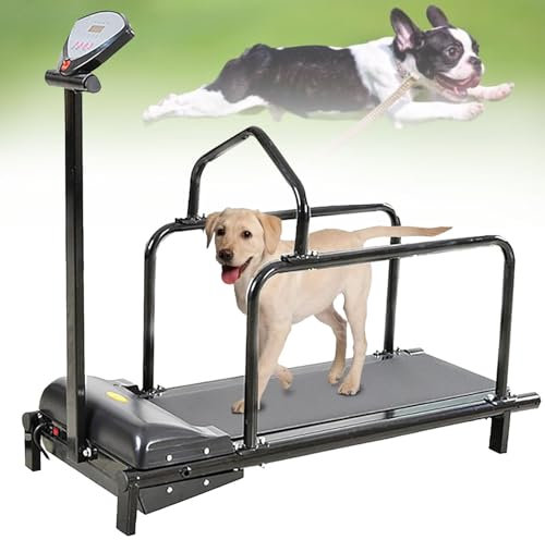 Löpband för husdjur,Löpband för hund Pacer inomhus hundlöpare,löpband för små hundar för hundträning