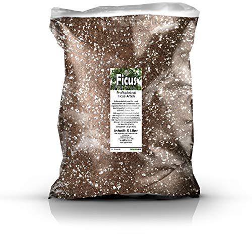 GREEN24 Ficus-Erde Profi Linie – 5L Spezialsubstrat für alle Ficus-Arten wie Benjamini Ginseng Retusa Microcarpa Religiosa und auch Bonsai, Chinesische Feige