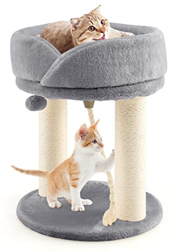 GYMAX Arbre à Chat en Hauteur 50,5CM avec Boule Suspendue, Colonne en Sisal & Éponges, Nid pour Maison (Gris)