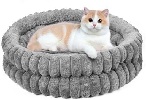 BugyKido Cat Bed for Indoor Cats, 50x20cm Round Donut Fluffy Kitten Bed, Washable Soft Plush Pet Bed with Removable Cushion and Non-Slip Bottom, for Cats & Small dog up to 7.5kg, Grey