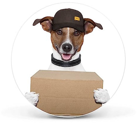 banjado Magnettafel Ø 47cm Weiß - Magnetwand aus Metall - Magnetpinnwand als Memoboard - Pinnwand Magnettafel Küche, Büro, Kinderzimmer inkl. 4 Magnete & Montageset - Paketdienst Jack Russel