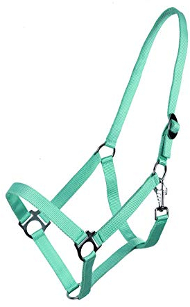 ARBO-INOX® Halfter mit Schiebeschnalle Stallhalfter Basic (Cob, türkis)