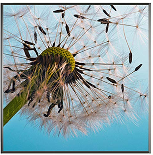 motivX-Ideenwerkstatt Magnettafel Quadrat incl. 100 STK. GRATIS Notizzettel - Motiv - Pusteblume