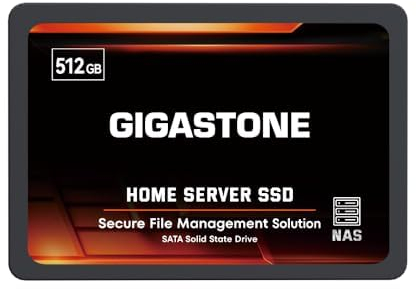 Gigastone Home Serveur SSD 512Go NAS SSD Cache 24h/24 et 7j/7 Durable TLC Haute Endurance Personal Cloud Data Sync Network Attached Storage Raid 3D NAND 2.5 SATA Interne SSD Disques durs SSD