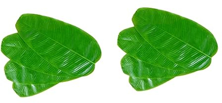 LIFKOME 8 Pièces Assiettes en Feuille De Bananier Roue des Prix Lave-Vaisselle De Table Pochoirs pour Peindre Fête Hawaii Porte-gobelet à Café Décor Feuille De Banane Feuilles