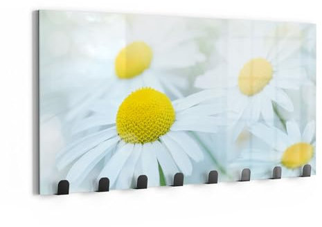 DEQORI Wandgarderobe Glas & Metall | Motiv Frühlingsgänseblümchen | 60x30 cm | Design Haken-Leiste modern | Garderoben-Paneel für Flur, Wohnzimmer & Schlafzimmer | magnetisch & beschreibbar
