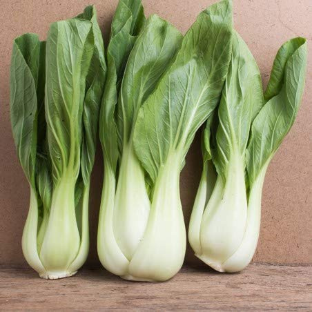 CAVOLO CINESE PAK CHOI BIANCO NR.300 SEMI