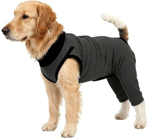 carotoe anti-slickande hundbody för neuter benskada hund återhämtning kostym