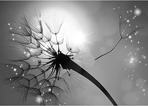 Runa Art Fototapeten 396 x 280 cm Pusteblume Sonne - Vlies Wanddekoration Wohnzimmer Schlafzimmer - Deutsche Manufaktur - Schwarz Weiss 9501012c