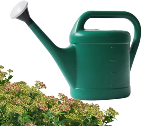 Annaffiatoio – Annaffiatoio a forma di rose, 10 l, annaffiatoio per piante da interno, atomizzatore per piante in ABS, con manico e beccuccio lungo, per irrigare il e il giardino, vaso per