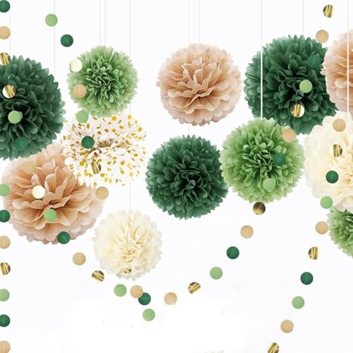 Feluxor Pompons Papier Lanterne Fächer Set de 15 Pièces Boule Fleur Papier Décoratifs Lanterne et Guirlande Circulaire pour Fête Prénuptiale, Prénatale, Mariage, Anniversaire, Fiançailles
