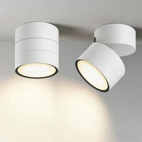 EBION GX53 Ceiling Lights,90° Swivel Ceiling Spotlights 2 Pack,IP54 Waterproof Aluminium Surface-Mounted Downlights for Ceiling,Suitable for Living Room,Bedroom,Bathroom,Hallway,Balcony,White