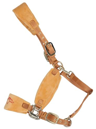 Toyvian Verstellbares Gepolstertes Halfter mit Seil für Pferd Komfortables Anpassbares Trainingszubehör für Reiten Trail Ranch und Stall Geeignet für Pferderassen Robustes Reitzubehör