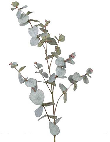 artplants.de Künstlicher Eucalyptus - Zweig ILMO, 30 Blätter, grau - grün, 85cm - Künstliche Blätter - Kunstzweig