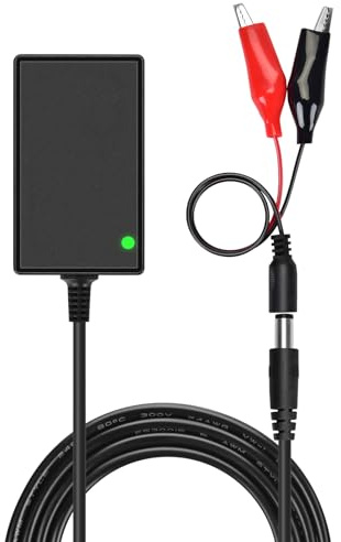 Intelligent 6V 12V 1A Sealed Lead Acid Battery Charger for Kids Electric Ride on Toy Car Motorcycle Quad Bike Sports Car SLA AGM Gel Battery Charger Maintainer