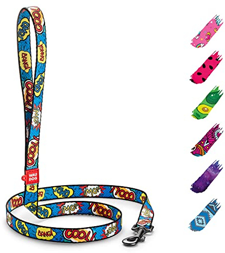 WAUDOG Nylon Hundeleine für Große, Mittelgroße und Kleinere Hunde, Welpen - Schleppleine