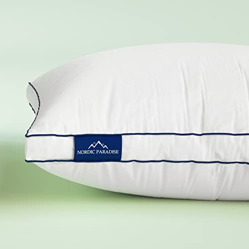 Nordic Paradise - Oreiller en Duvet Deluxe - Duvet de Canard Français - 60x60 cm - Moelleux - Enveloppe Coton Anti-Acariens