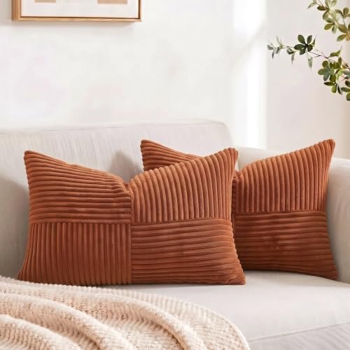 FDTERN Uppsättning av 2 rostfria kordsammet örngott 30 x 50 cm mjuka moderna dekorativa örngott örngott dekorativa örngott soffkuddar kuddar boho höst dekoration för soffa sovrum vardagsrum balkong