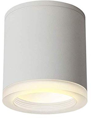 Wall Lamp Plafoniera, faretti a LED da 9 W, faretti montati su Superficie per Interni, Lampada da Parete, Paralume in Acrilico Alluminio Metallo Nero/Bianco, faretti a LED a Risparmio energetico