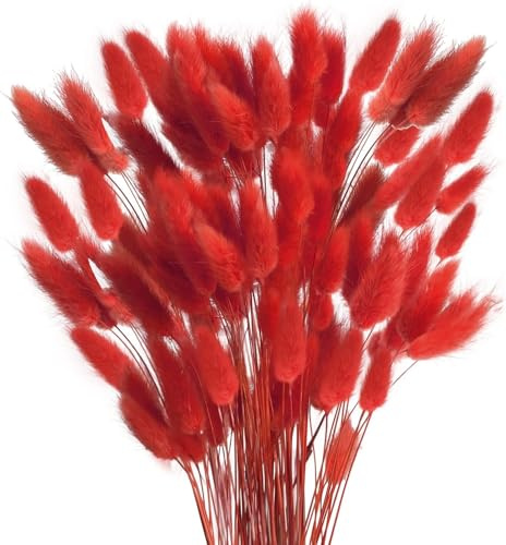 Minnhua 120PCS Fleurs Séchées Herbe de la Pampa Rouge Petites Pampas Sechees Decoration Naturel Fleurs Séchées Bouquet Fleur Fleur pour Decoration Maison Nniversaire Mariage Saint Valentin