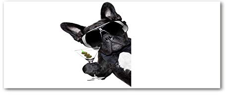 Splashback 125x50 cm Behind The Countertop Tempered Glass Sustainable Glass Waterproof Decoration Wall Panels Anti-Splash Heat Resistant - Dog with Martini
