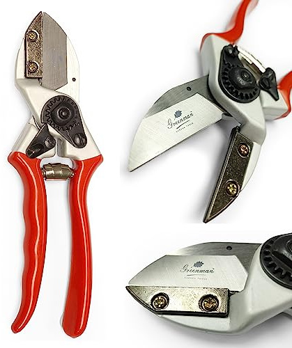 Greenman Premium 8.5 Anvil Pruner Secateurs Very Sharp for Thick Stems & Dead Wood