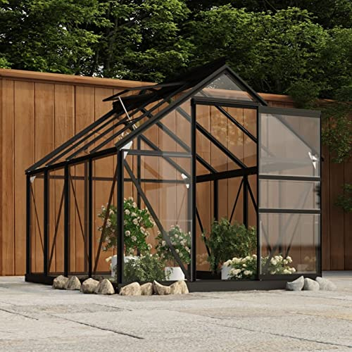 ARKEM Serre en Verre Anthracite 155x200,5x191 cm Aluminium,Carport Abri Voiture,Serre Tunnel
