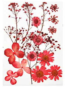 kesurpae Natürliches getrocknetes Blumenharz, einfache Trockenpflanzen, Tischdekoration, Nagelkunst, gepresste Blumen, DIY Aufkleber, Schmuckherstellung, Handwerk, Typ 4