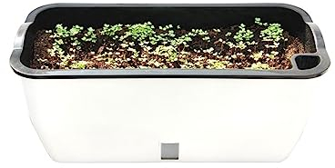 LAPADULA Macetas Maceta de plástico Rectangular Que Absorbe Agua for Cultivar Verduras y Plantas suculentas, balcón Familiar, Canal de Flores de Tira Larga Jardineras