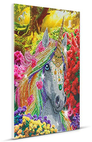 CRYSTAL ART - Kit Tableau Broderie Diamant sur Chassis Toilé - Activité Manuelle de Peinture - Loisirs Créatifs - Adulte et Enfant - Thème : Licorne - Format : 40 x 50 cm