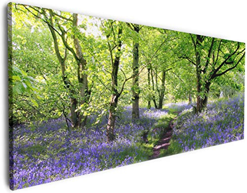 Wallario Leinwandbild Blaues Hasenglöckchen im Wald - Wandbild 50 x 125 cm: Kunstdruck | Brillante lichtechte Farben | hochauflösend | verzugsfrei