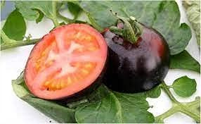 Semillas de tomate Kumato