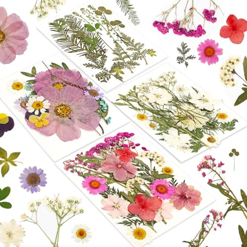 70 Stück Trockenblumen zum Basteln, DIY Getrocknete Blumen, Gepresste Blumen, Trockenblumen Deko für DIY Kerzen Harz Schmuck Nagel Anhänger Scrapbooking Handyhüllen Fotorahmen Dekorationen