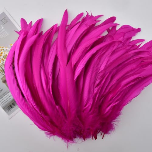 QBilooty Plumas de Cola de Gallo Naturales 25-30cm Pack 50 Unidades Multicolores Limpiadas al Vapor para Carnaval, Halloween, Boda y Atrapasueños Manualidades，Fucsia