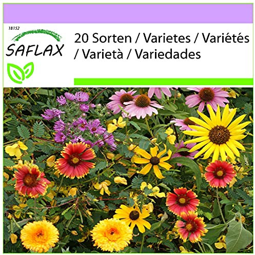 SAFLAX - Sueños de ave - 1000 semillas - 20 Wildflower Mix