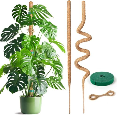 2 Pcs Moss Pole, Moss Pole for Monstera, Bendable Plant Sticks Support for Potted Indoor Climbing Plants, Handmade Coco Coir Pole Plant Support for Creeper Plants Grow Upwards (60cm)
