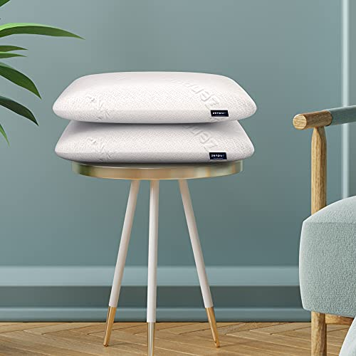 ZenPur Almohada Viscoelastica, Almohada Ortopédica con Funda de Bambú Fabricada en la EU, 2-Pack, Almohada Cervical Ideal para Dormir de Lado y para una Alineación Óptima de Cuello, Hombros y Columna