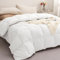 puredown Couette 200x220cm 2 Personnes Couette en Duvet 4 Saisons Respirante Légère et Fine, Remplissage Duvet et Plumes d'oie, Lavable, Oeko-Tex, RDS, Blanc