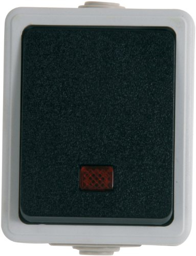 UNITEC Kontrollausschalter Aufputz FR, grau/dunkelgrau