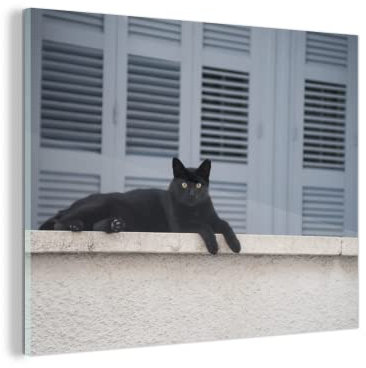 Glasbild Glasfoto Wandbild Bilder Deko 120x90 cm Katze - Schwarz - Fensterläden - Mädchen - Kinder - Jungen - Kind
